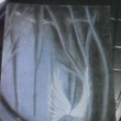 Andl, pastel r. 2012